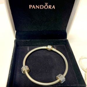Pandora ALE Moments Snake Bracelet